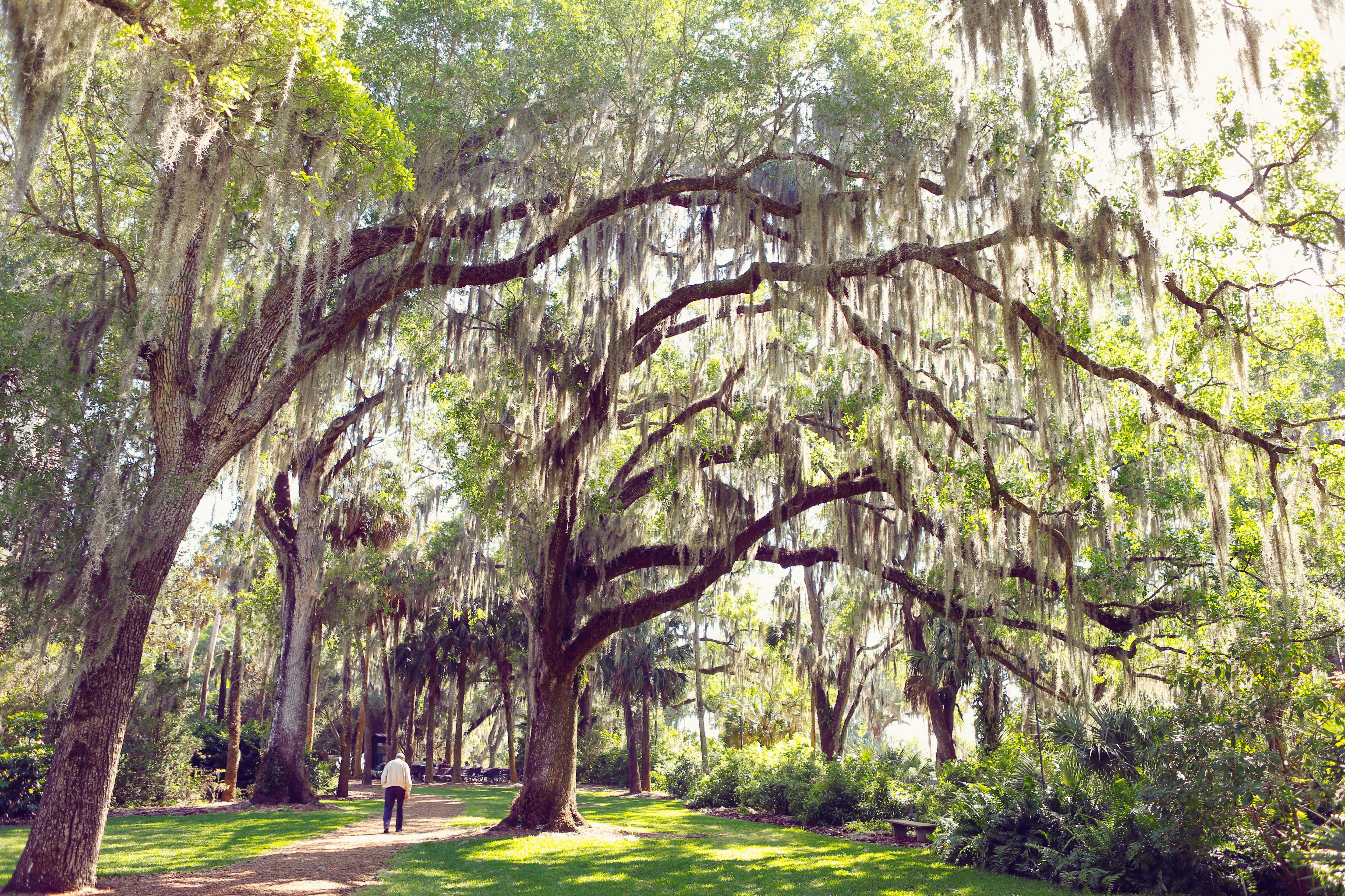 Getting Around In Savannah - Lonely Planet